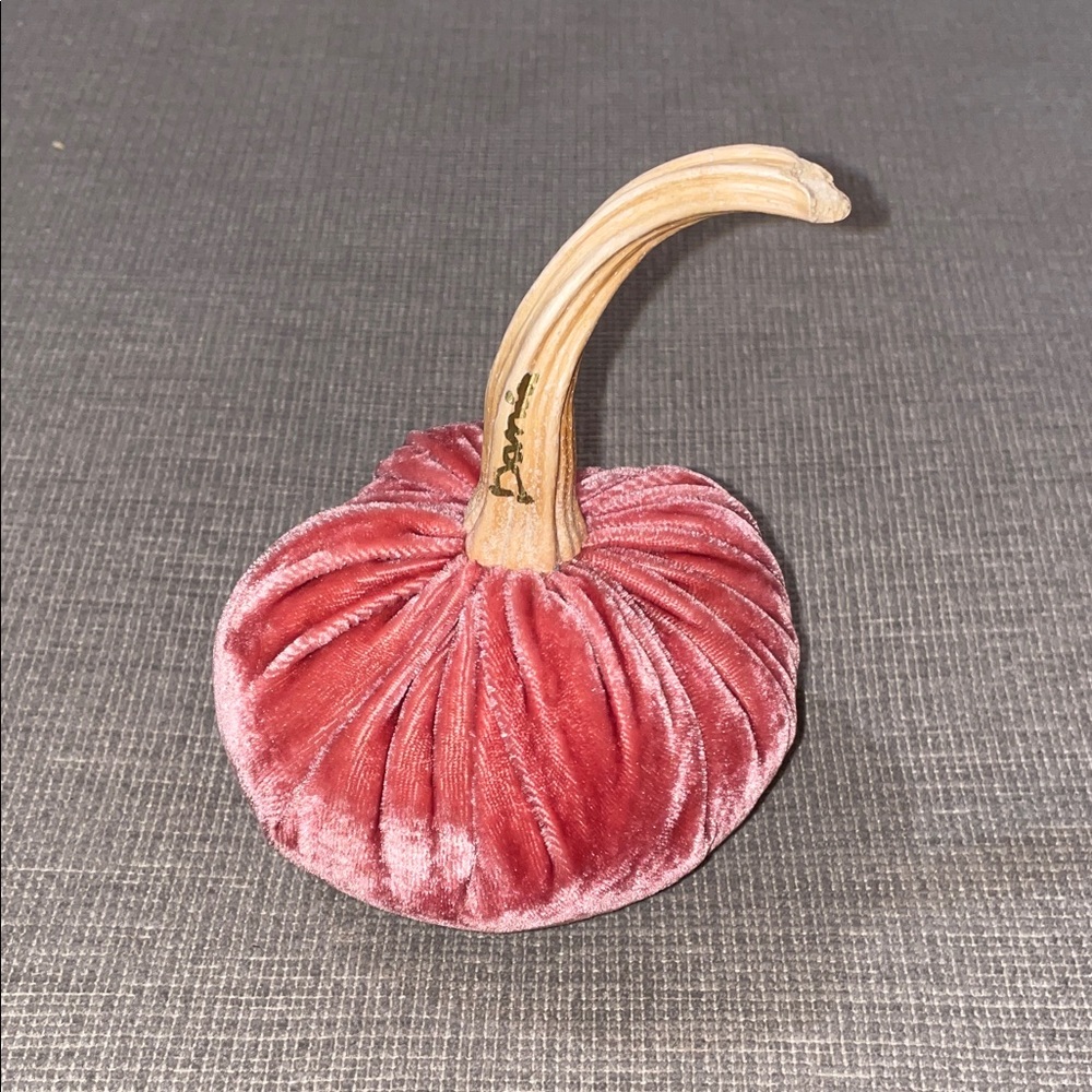 Hot Skwash Pink Velvet Pumpkin with Natural Stem